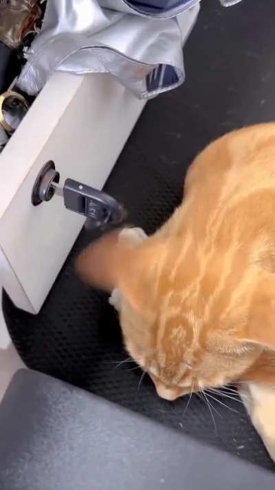 Wunk&rsquo;s engine is idling