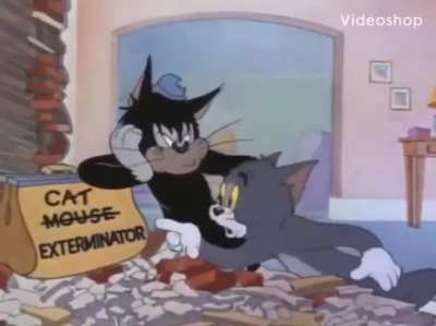 Tom Dies