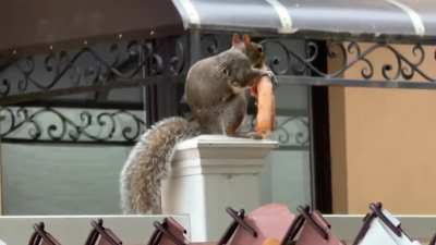 Only in New York