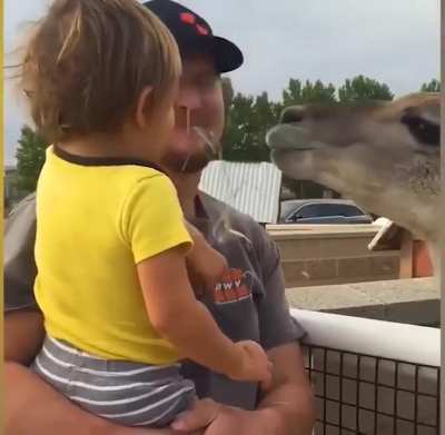 to get licked