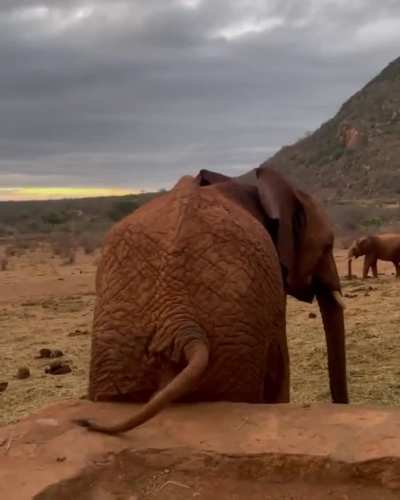 Itchy butt