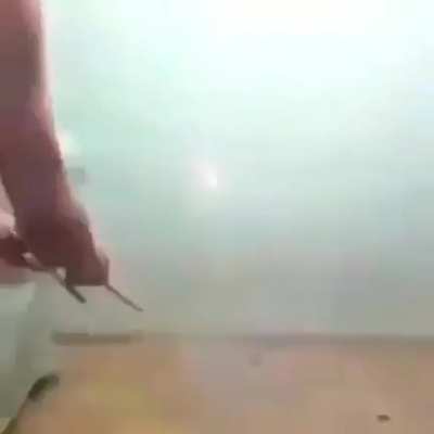 melhor forma de comemorar o ano novo chin&ecirc;s