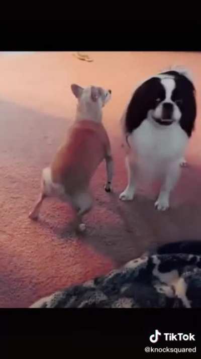 He got moves