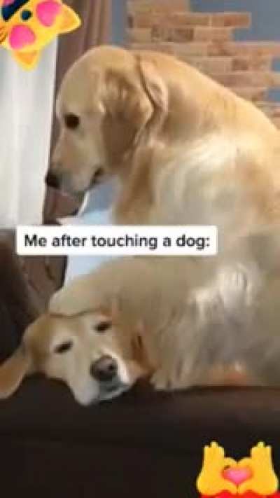 They are woof inside
