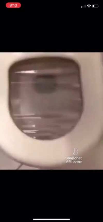 No need to flush