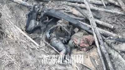 Ru pov : Failed Ukraine landing