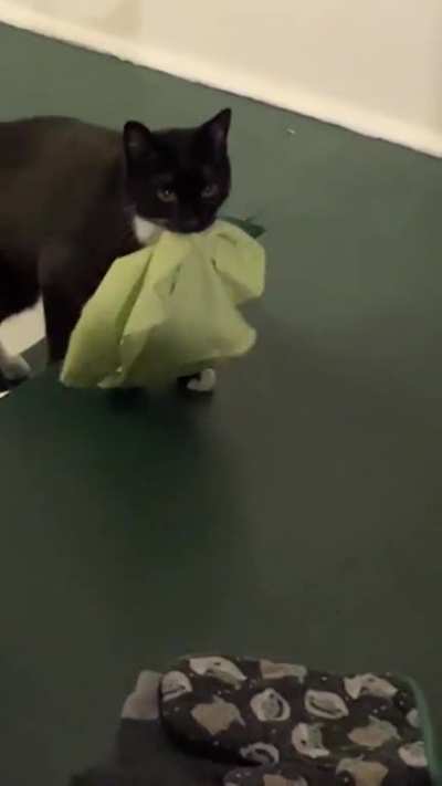 Harpo is carrying these things right past a pile of stuffies on the landing.