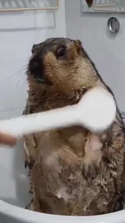 Cutest thing I've seen