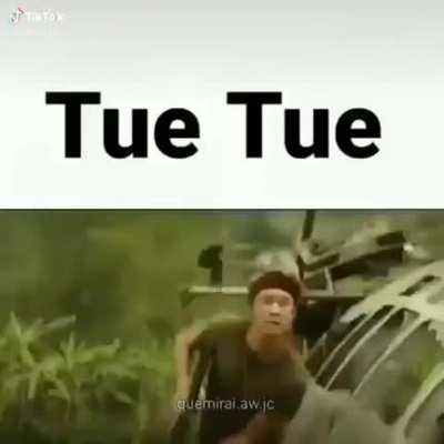 Tue tue