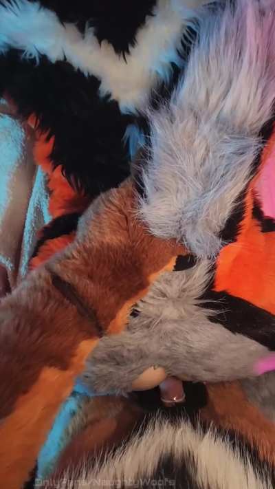 Love having my tail pulled 🥴 OF: Naughtywoofs