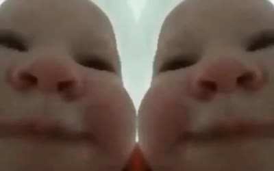 Babies are spitting ngl