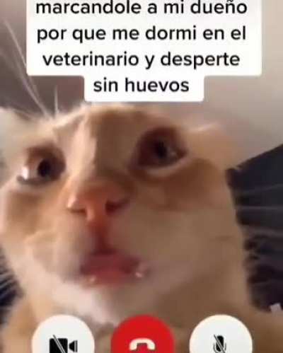 😞