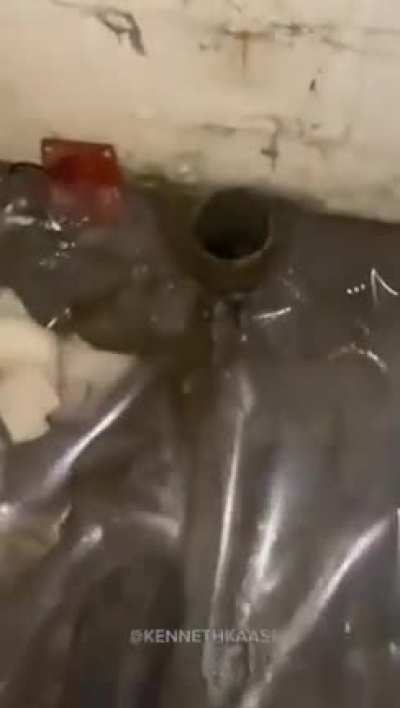 nice