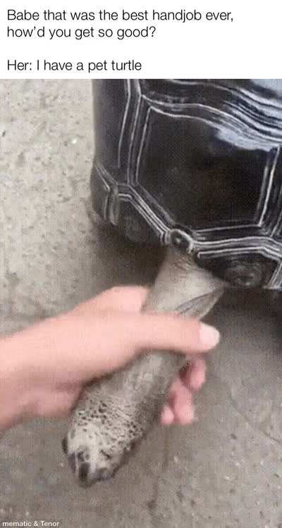 B O N K
