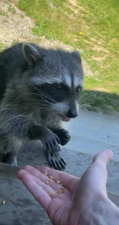I couldn&rsquo;t leave my homie Ricky out of the 4/20 celebration! Giving him his fair share of munchies :)