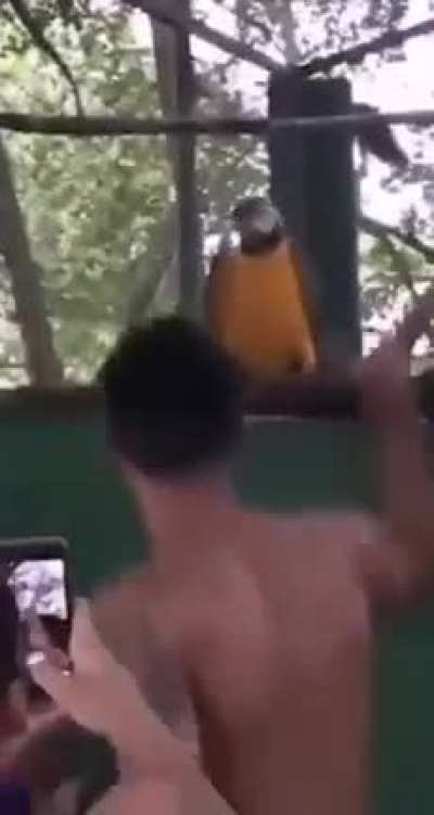 Man got some moves