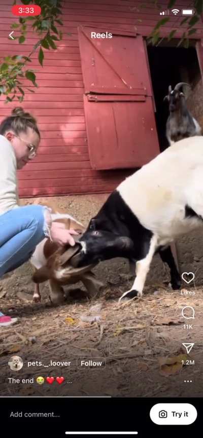 How&rsquo;d they even