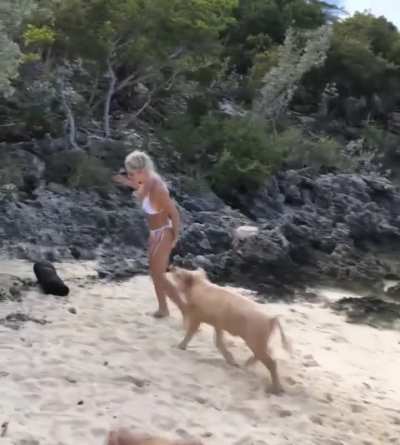 Nice day on beach