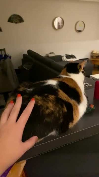 One of Sushi&rsquo;s many activation sounds
