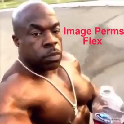 Image perms flex (nice we reached 3,000 users)