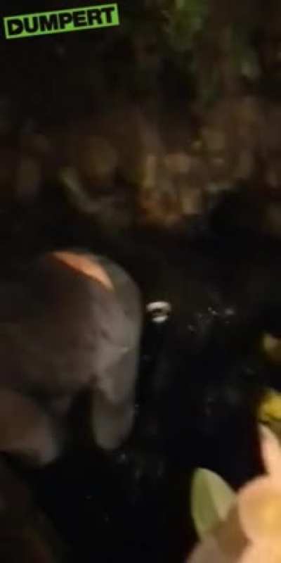 smoking a cigarette near a pond while being intoxicated