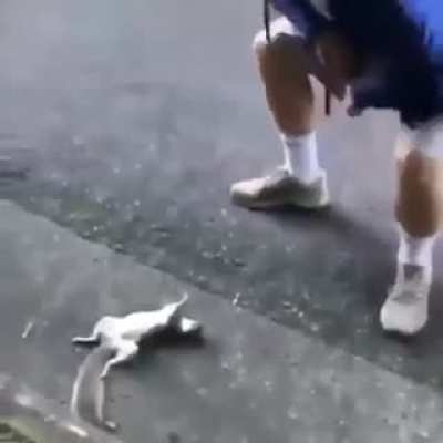 thats nuts