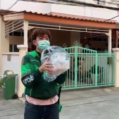 Stand Food Delivery