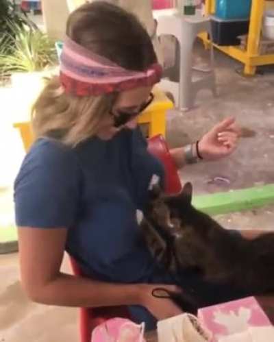 Kedi olmak varmış