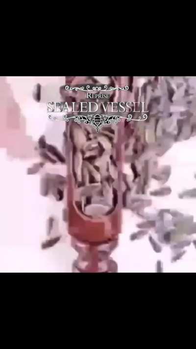 You are the vessel, you are the hollow knight 