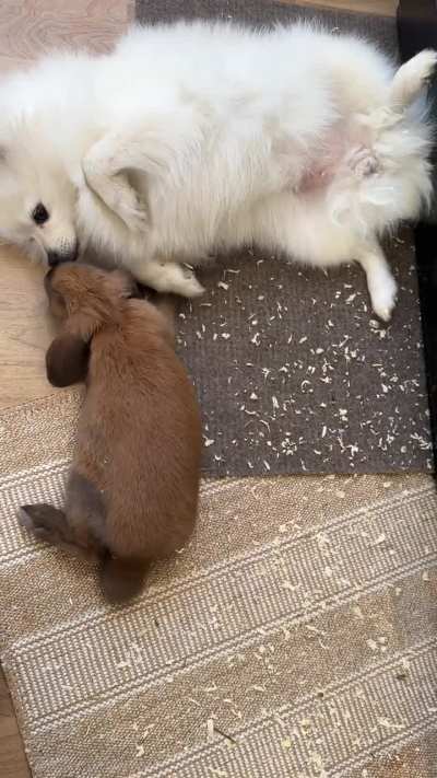 Best friends