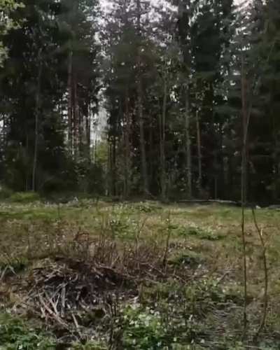 Milt&auml; tuntuu ostosreissu kun ei ole autoa...