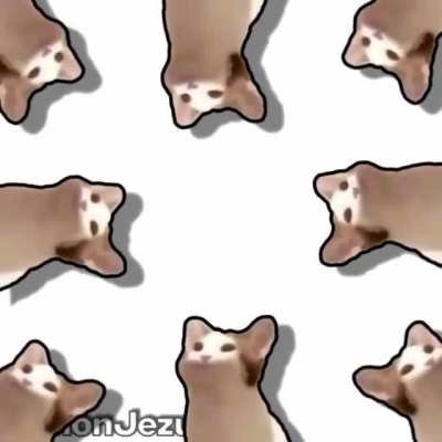 Rule but i&rsquo;m running out of stuff to post for the rule