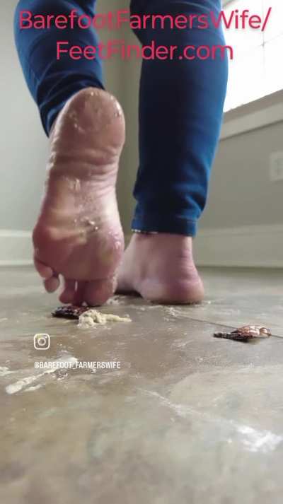 Superbowl Hissers Barefoot