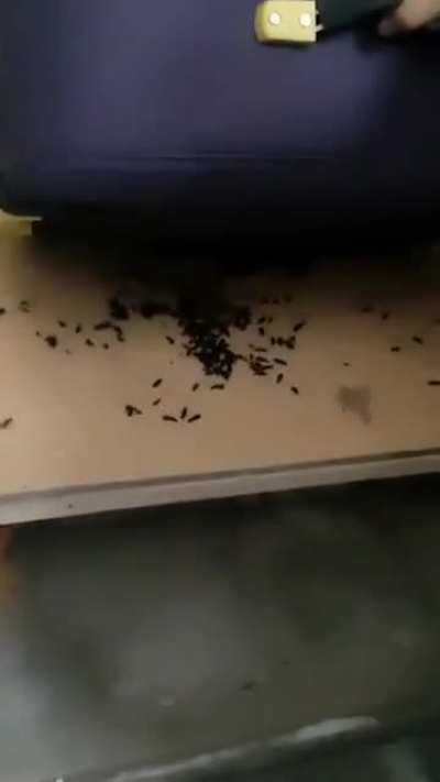 Living conditions in IIT Delhi