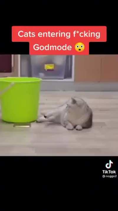 Who's the god now!