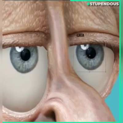 cursed_squidward