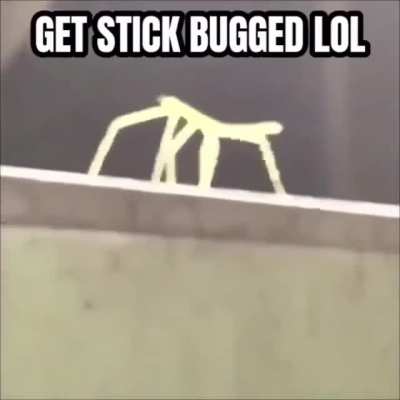 gamebug
