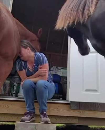 This 4yo horse understands her owner&rsquo;s emotions and reassures her