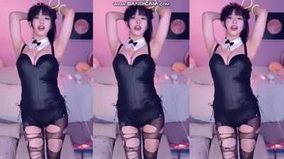 dddd