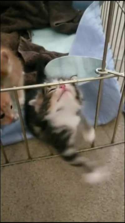 Hep me bruh, I stuck