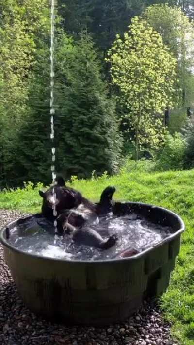 Enjoying a soak
