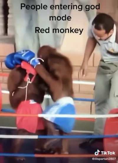 OOOOHHH AAAAAHHH RED MONK&Egrave;