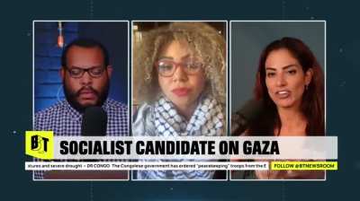 &lsquo;Biden Doesn't Speak For Us&rsquo;: Socialist Presidential Candidate Slams Biden on Israel Support