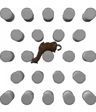 Horse plinko