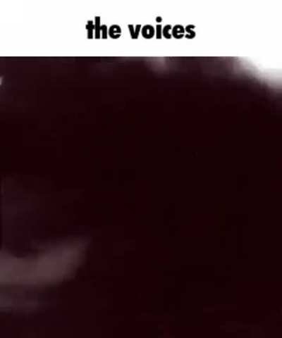 They are calling