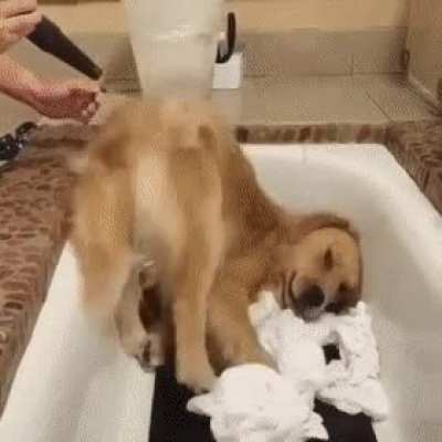 Blow dry me like one of your French girls