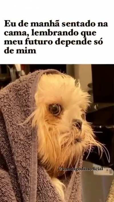 Toda essa press&atilde;o &eacute; de lascar.
