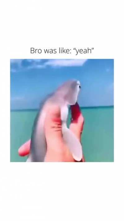 Yeah
