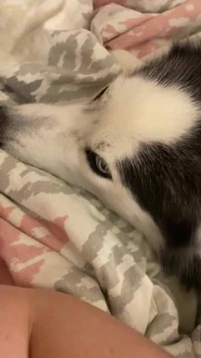 She&rsquo;s clearly having a moment