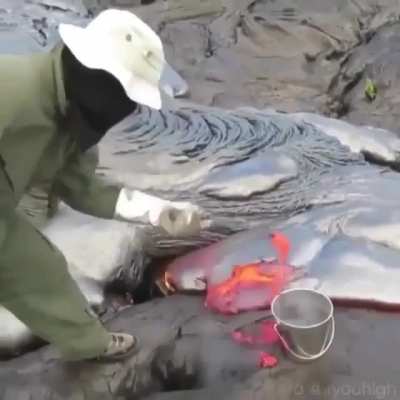 Harvesting Lava for research.. 